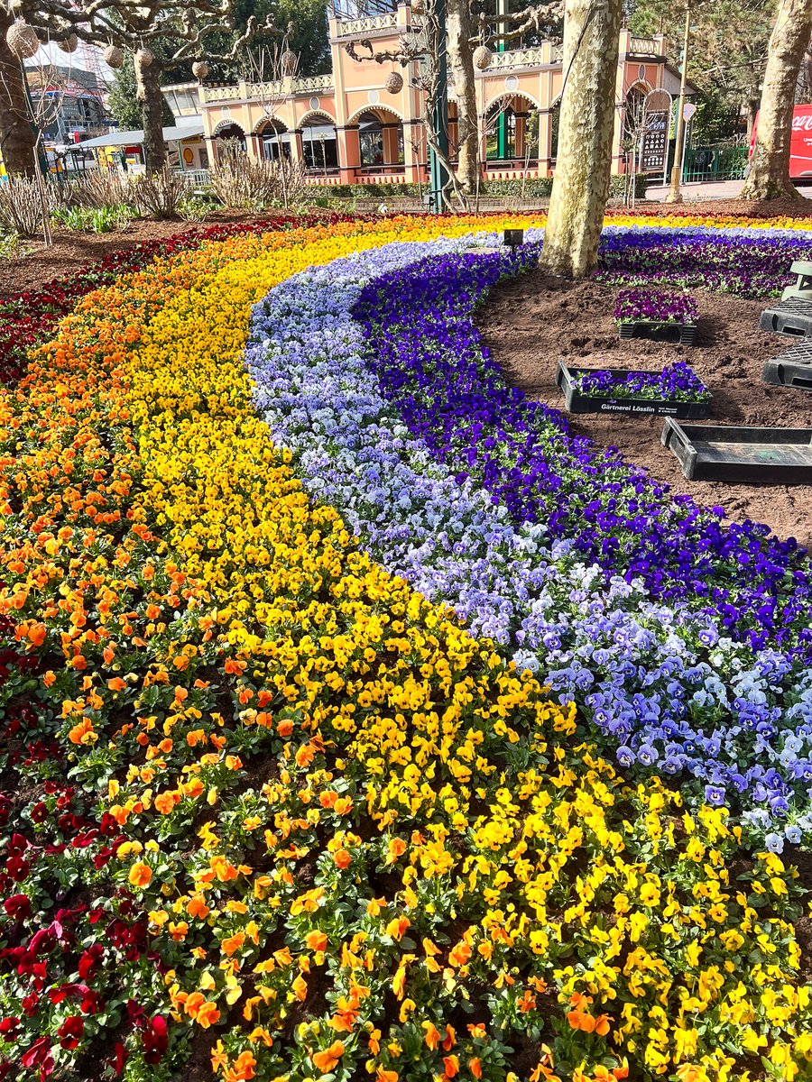 Thomas Mack tweet media