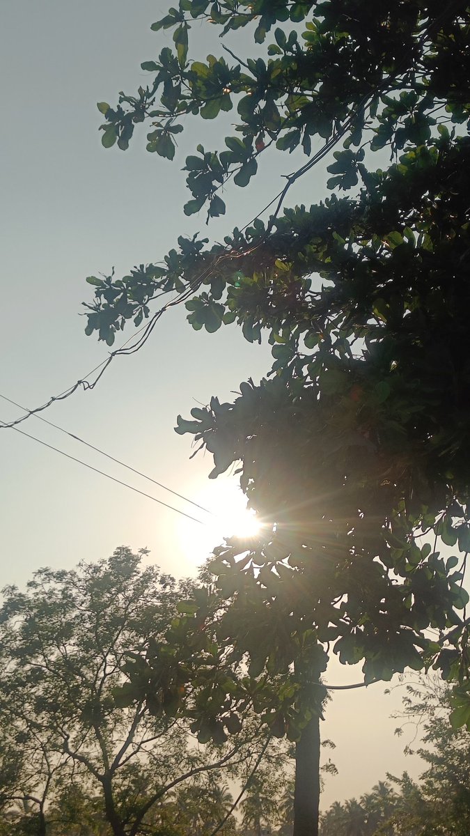 Vino_Ooty's tweet photo. Reached KERALAM buddies...
Here is the location for evening shoot 📷📷
.
Tomorrow beach ponum 🫰 https://t.co/xIm6abUWSy