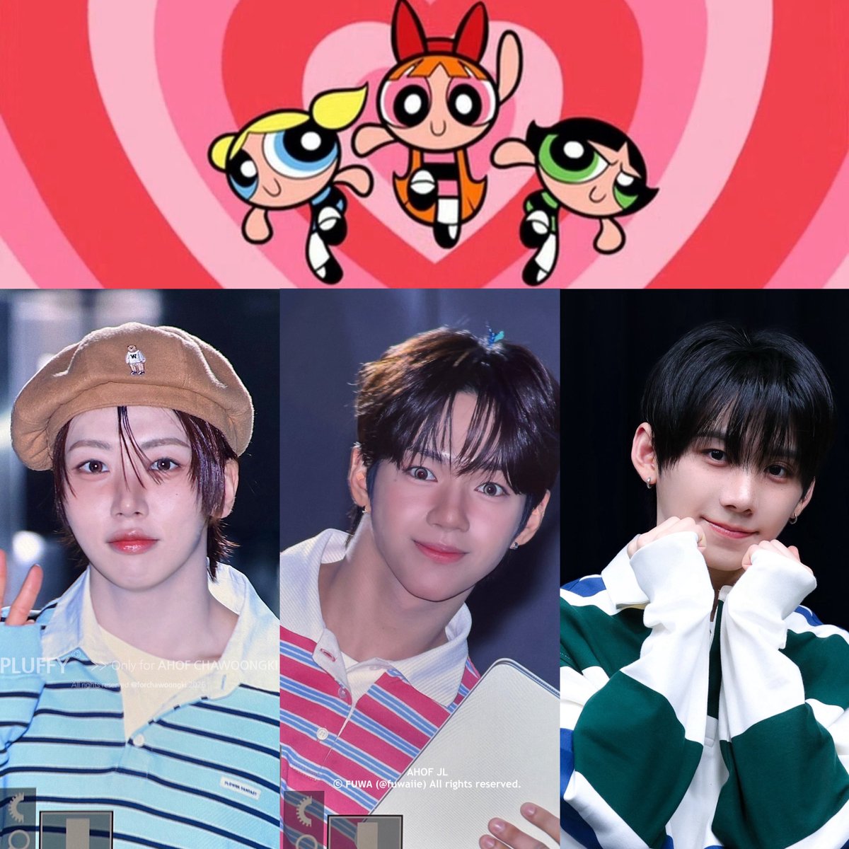 zel ⪩⪨ tweet media