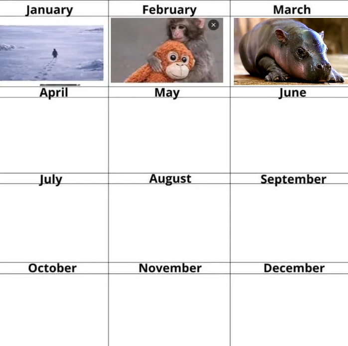 Spacecoin™ 🛰️ tweet media