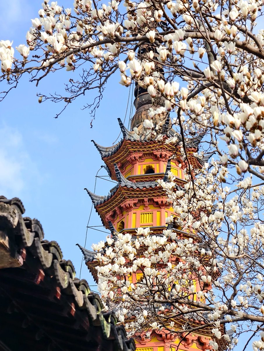 韩美丽🇨🇳（互fo互赞必回） tweet media