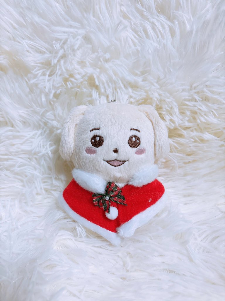 💝 𝙹𝚎𝚕𝚕𝚊 𝚜𝚒𝚖 🐶 tweet media