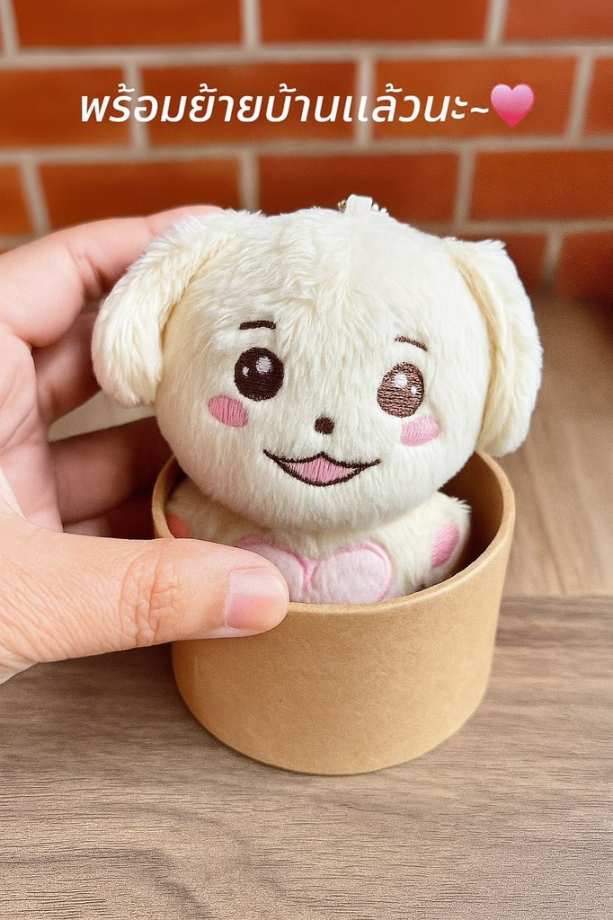 💝 𝙹𝚎𝚕𝚕𝚊 𝚜𝚒𝚖 🐶 tweet media