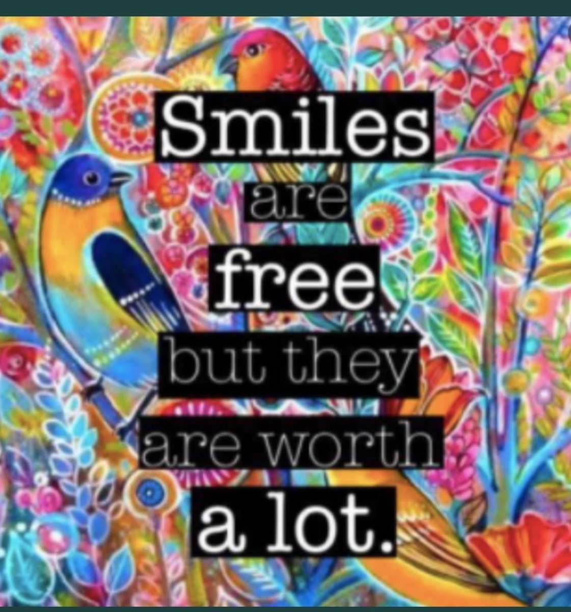 CHS HORNED TOADS tweet media