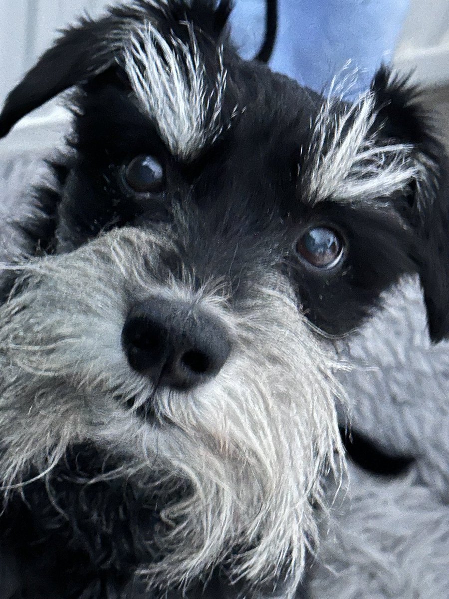 Bookmadjo 🦉 tweet media