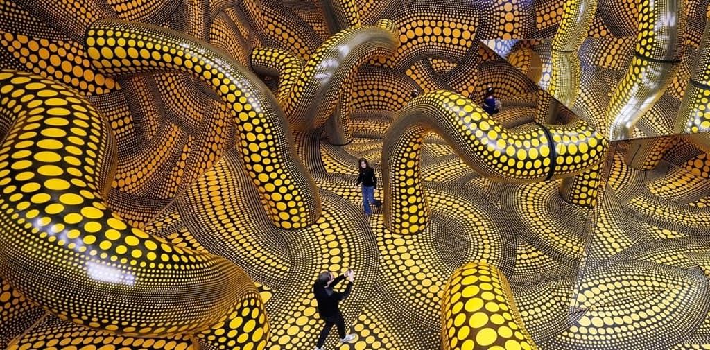 Diego Rottman tweet media