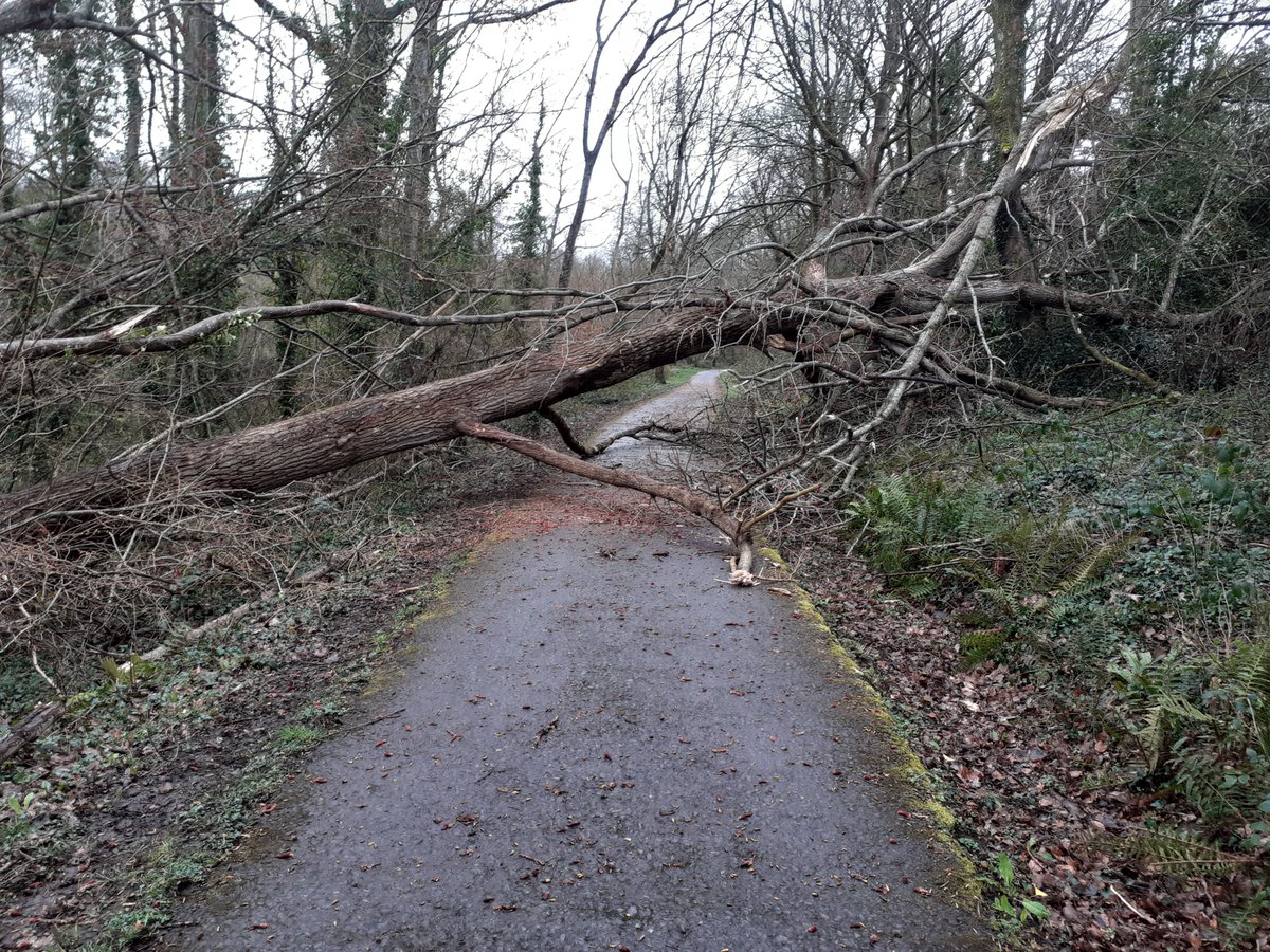 Chris Parry tweet media