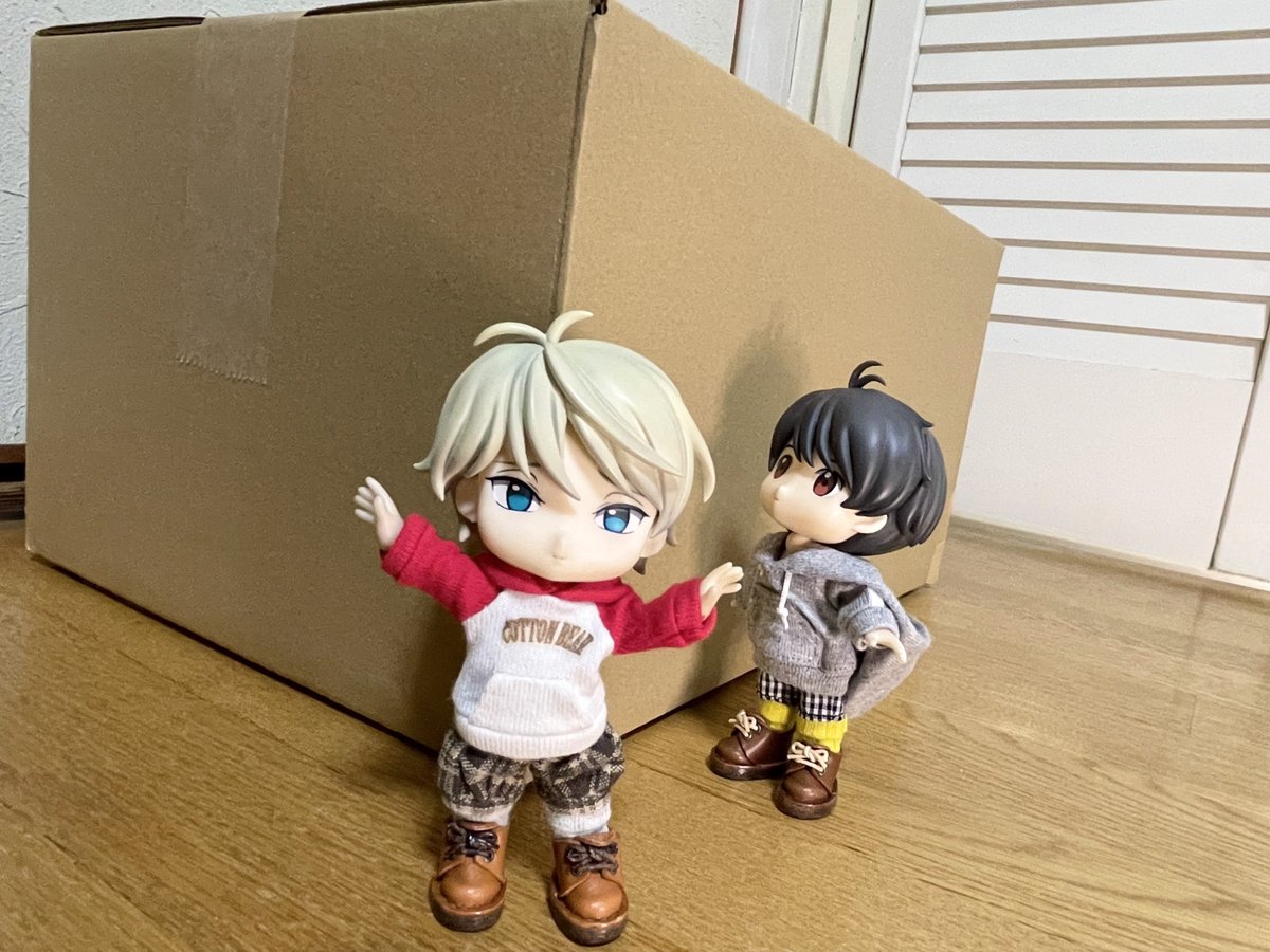 うちにも届いたよ
1冊だけど…大きい