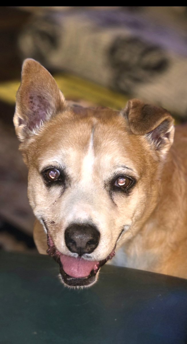 Sheriff Elton tweet media