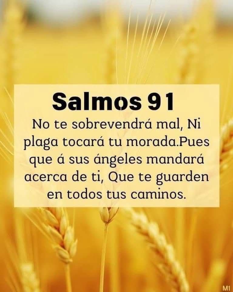 Yenny torres tweet media