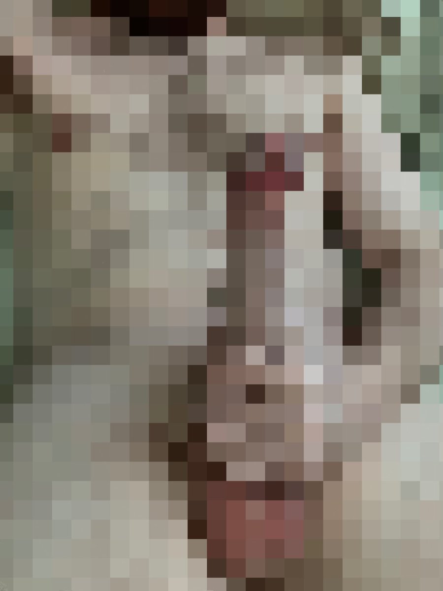 🤑🚫 Master Pixel 🚫🤑 tweet media