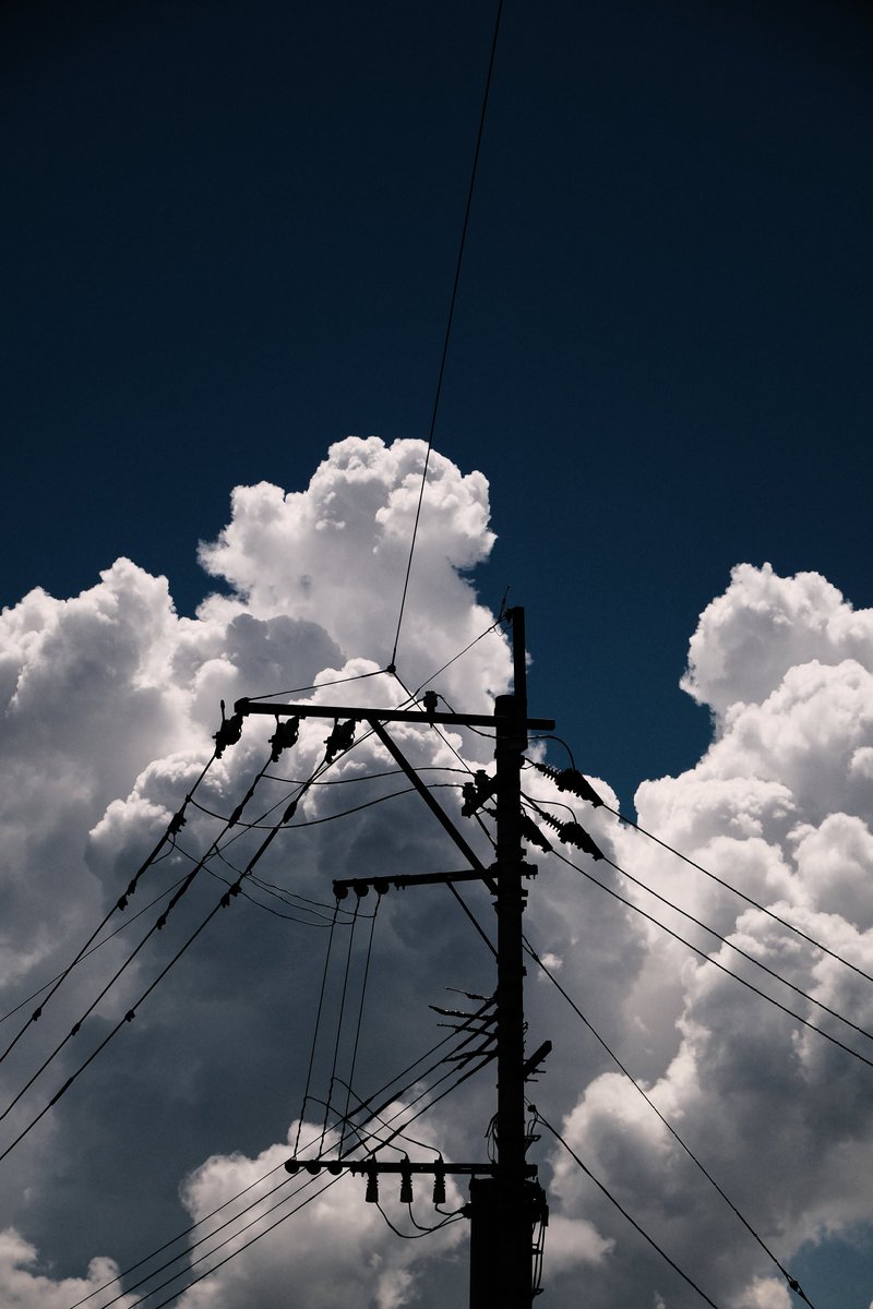 ハンサムイワシタ tweet media