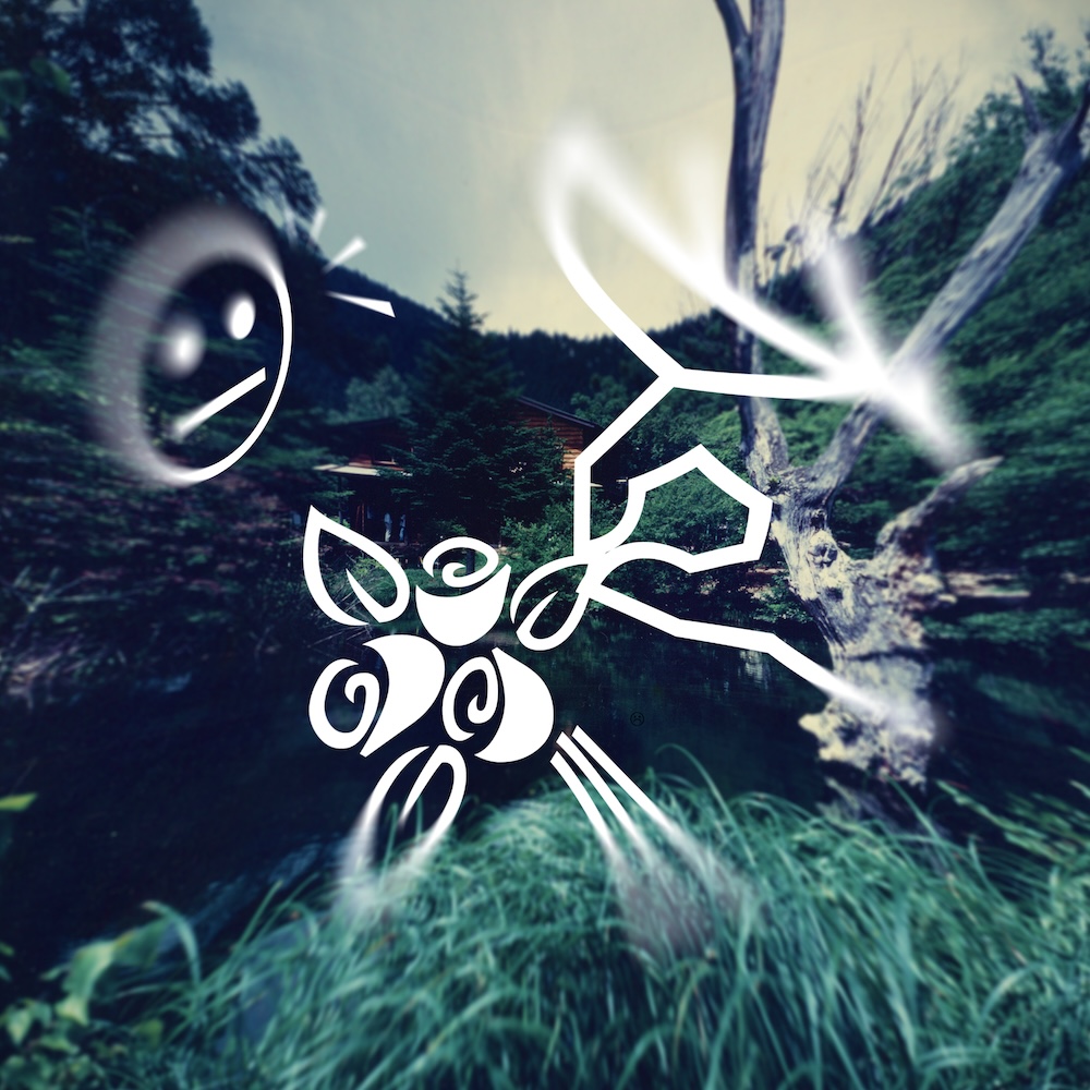 Spincoaster/スピンコースター tweet media