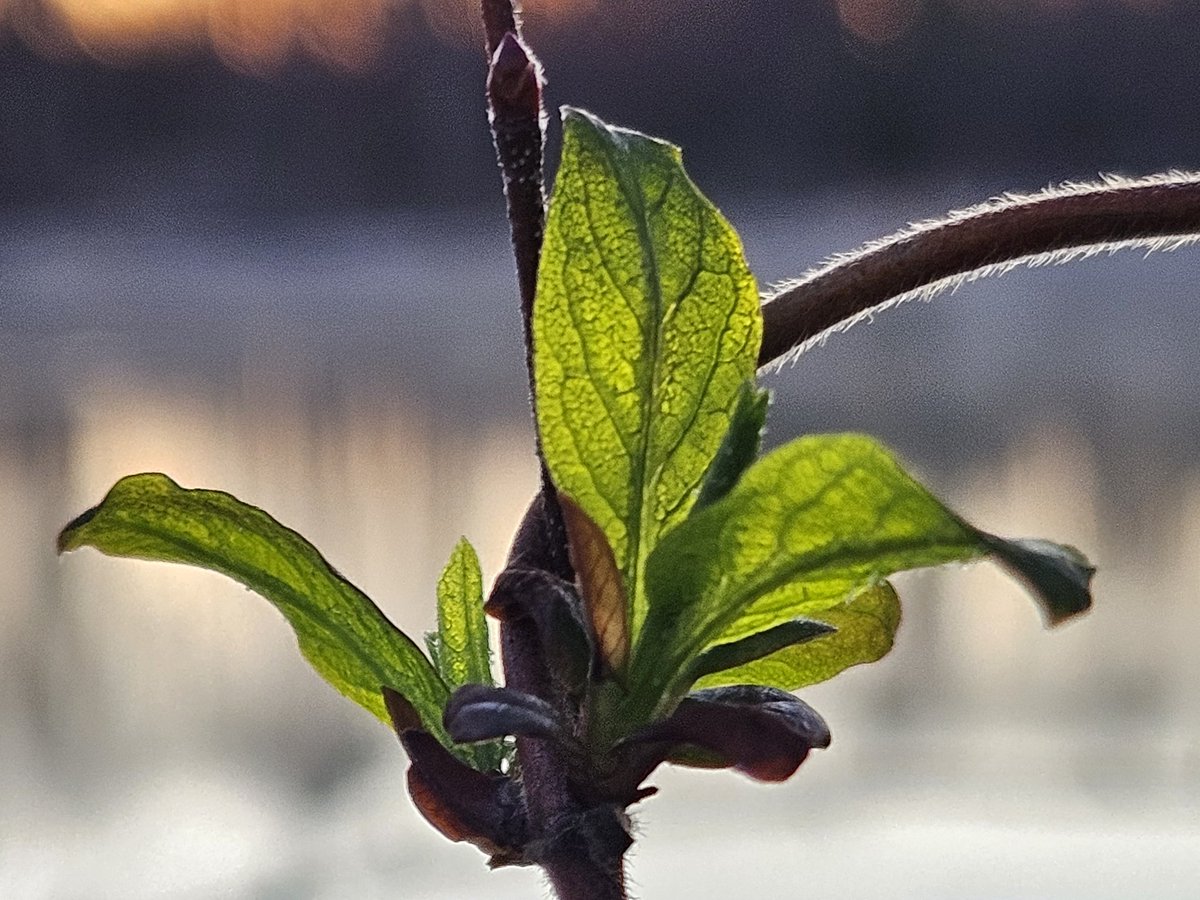 Dave 1411 tweet media