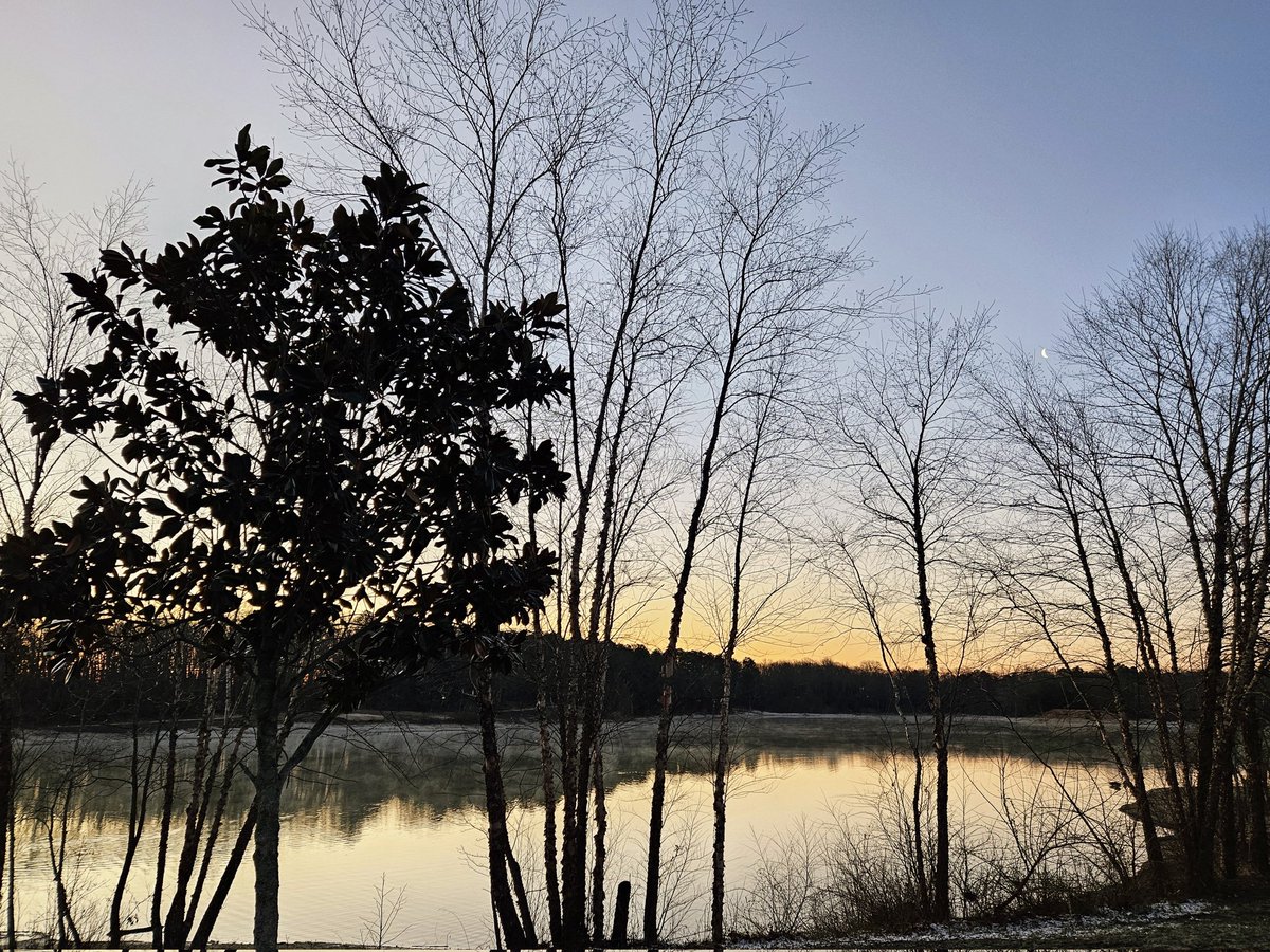 Dave 1411 tweet media