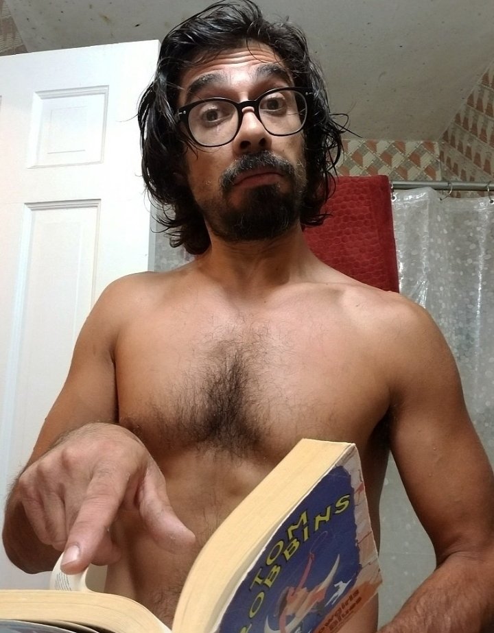 MoonLitSam tweet media