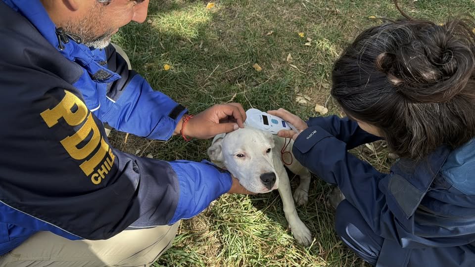 Mae Aracena tweet media