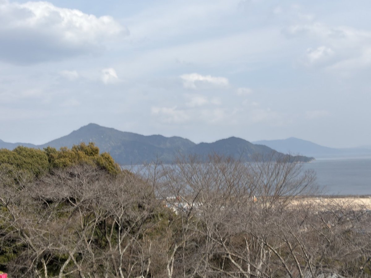 ガンビー（銃蜂） tweet media