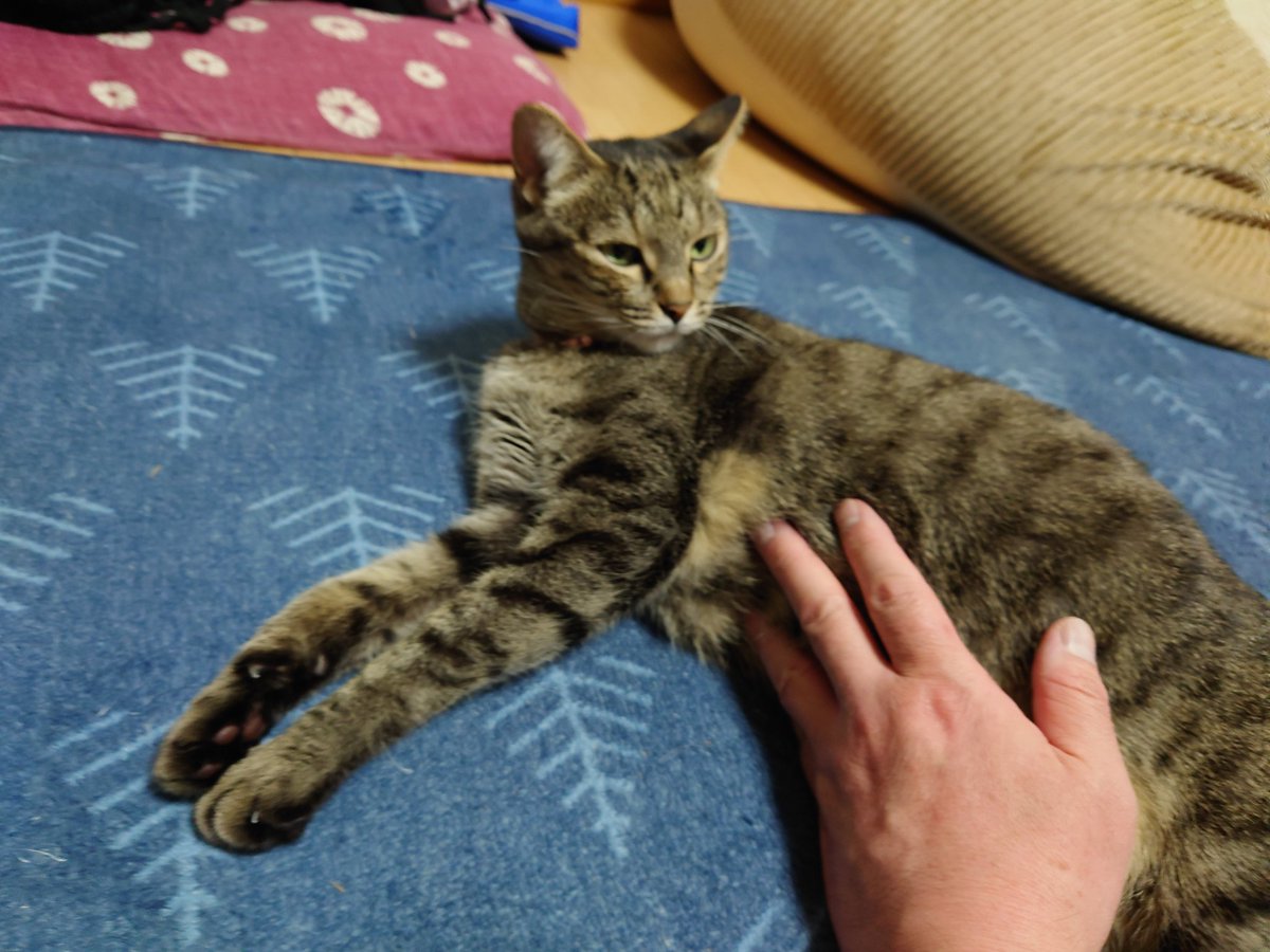 Writer Q tweet media