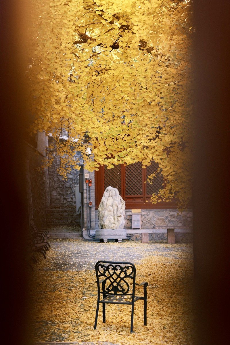 joycemeyer2t tweet media