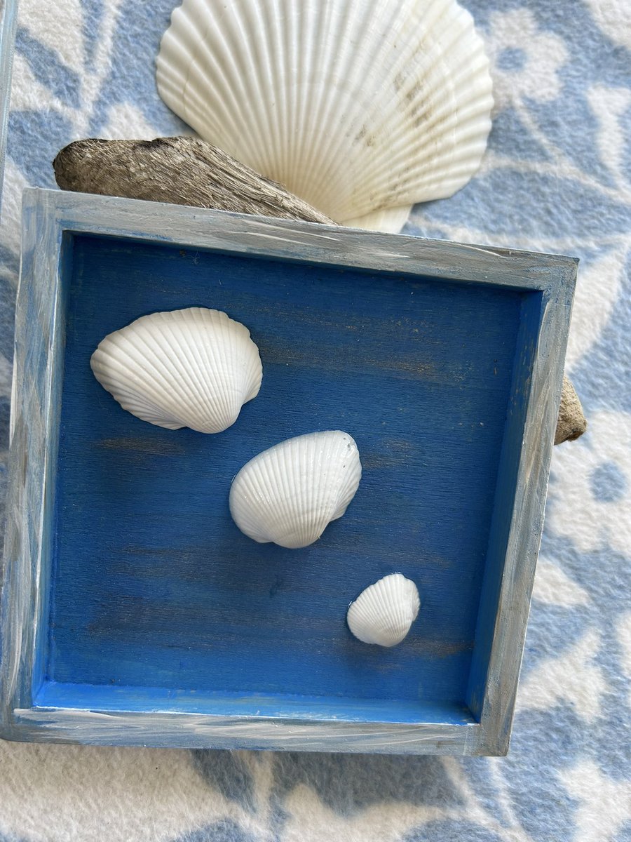 MayeHik's tweet image. When by the sea 🌊🌊🌊
#crafting #seaside #shells #blue #shabbychic #frames #grieftherapy 🐚💙