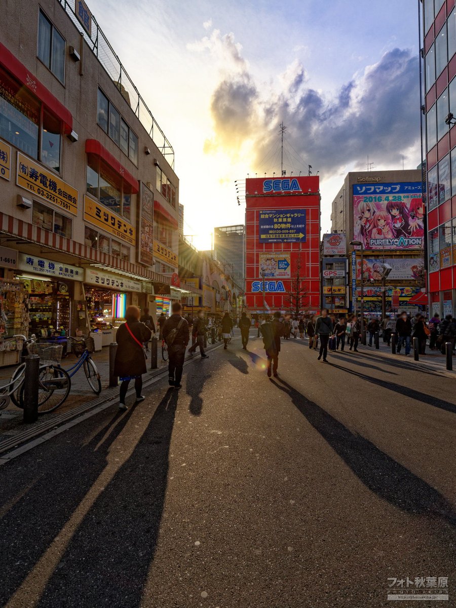 フォト秋葉原 tweet media