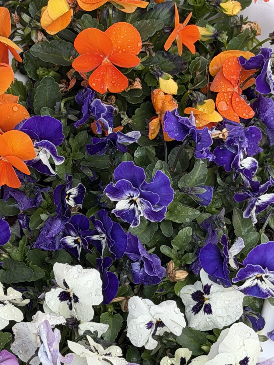 もうすぐ春だね。