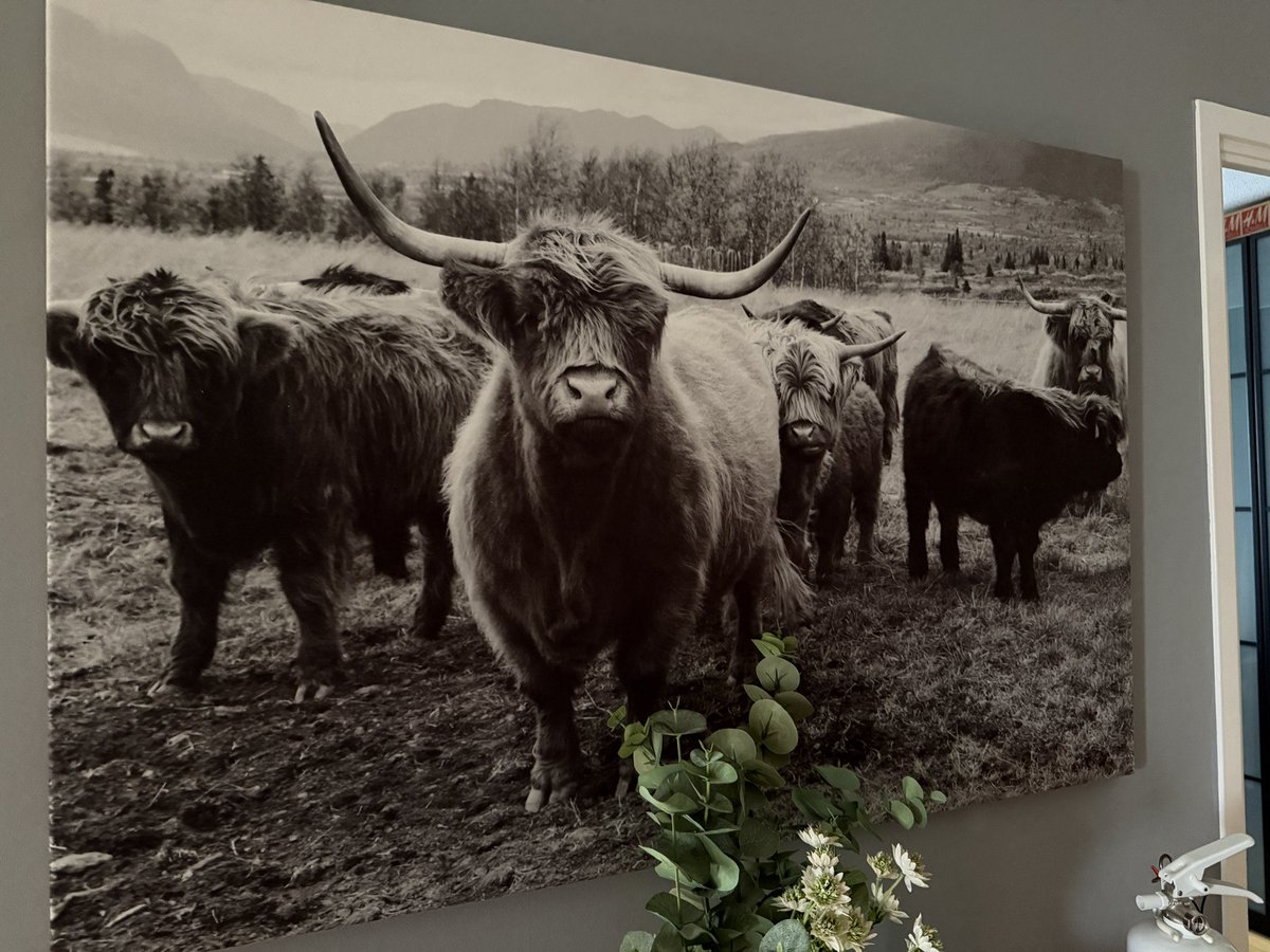 Dalkulla 💙 tweet media