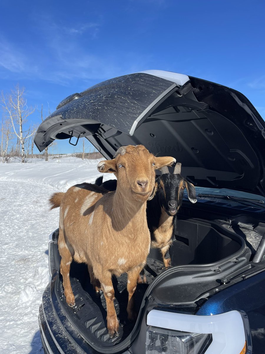 Benjamin Westby (Back Roads EV) tweet media