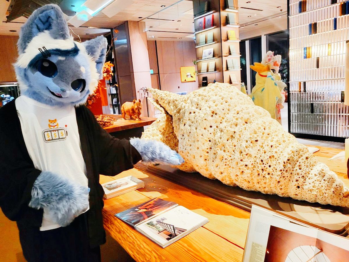 三次元乗貳貓 tweet media