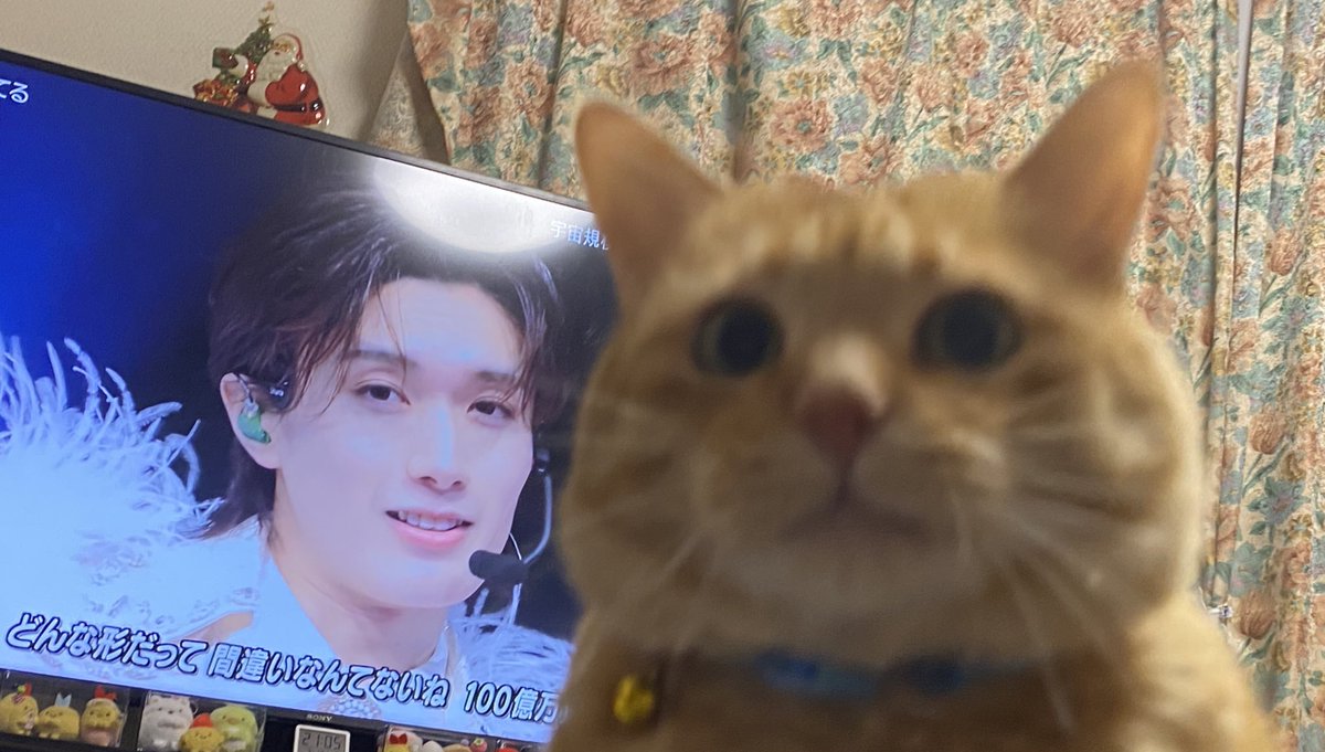 イム・ヒロシ (@uwimym) on Twitter photo 