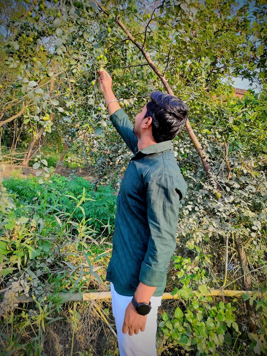 आपदा आती है तब गांव ही सहारा है,
 कोरोना हो या 
तेल गैस किल्लत!
इसलिए गांव महान हैं।

खाओ बैर 😋