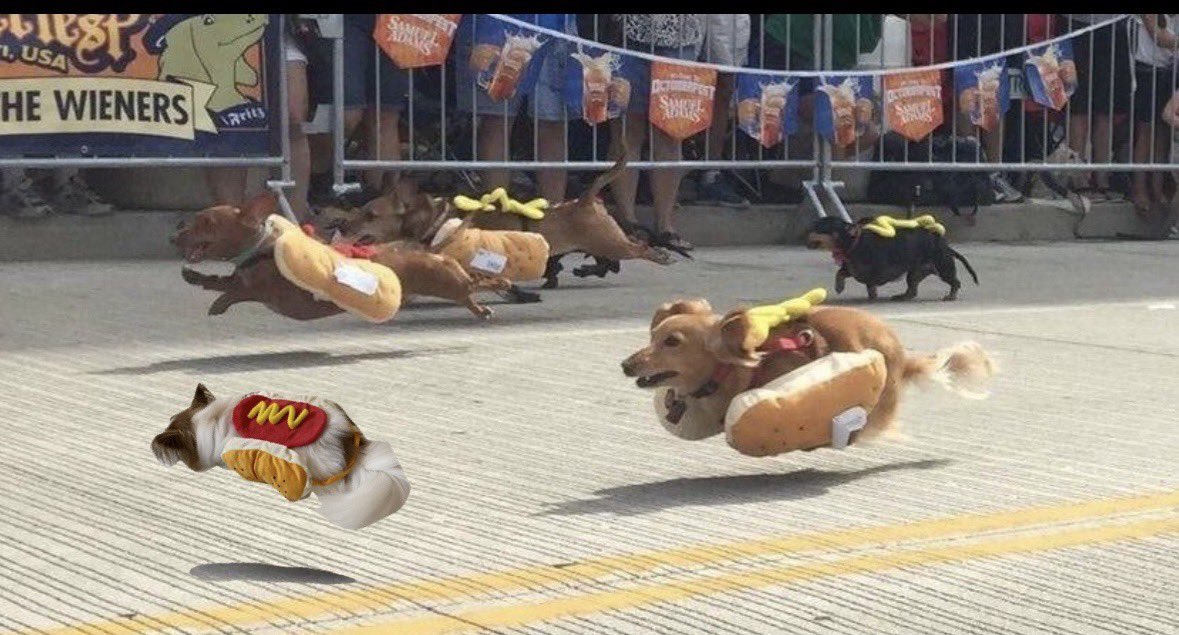 しふぉん tweet media