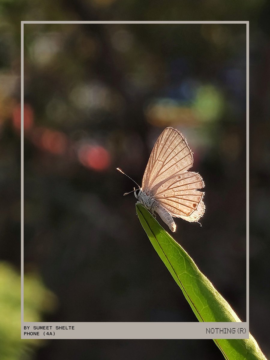 Justsomemyth tweet media