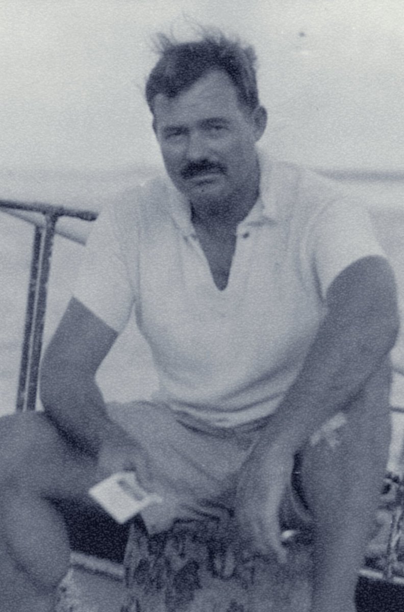 Angry Elephant tweet media