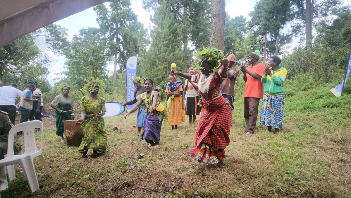 Kabale University tweet media