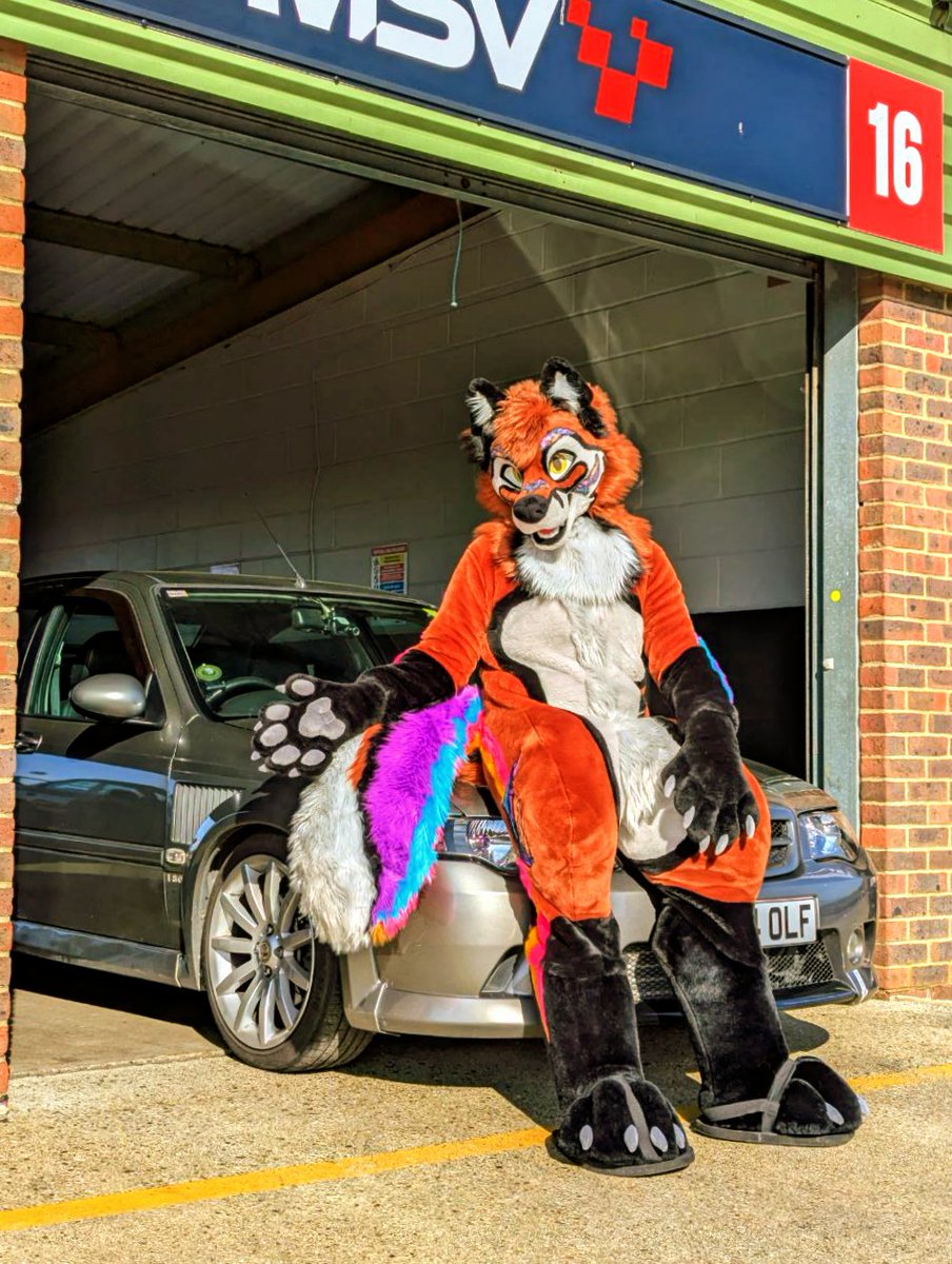 KurtdeVos 🇬🇧🦊 tweet media