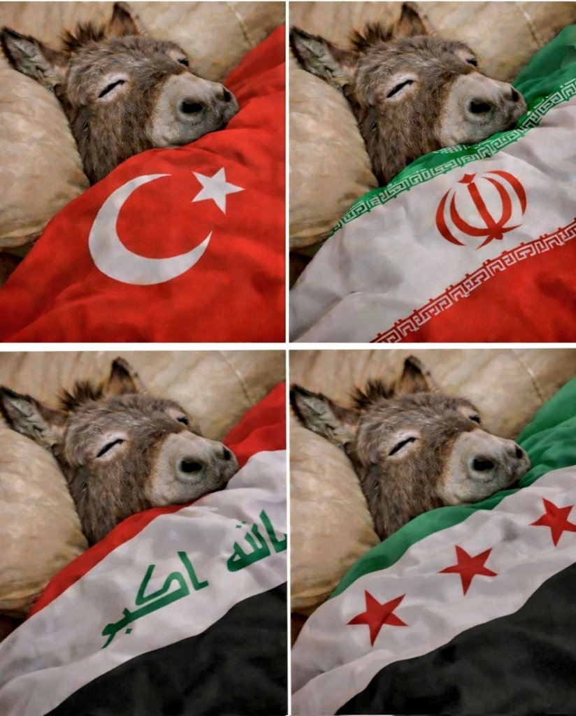 kurdstan💚💛❤ tweet media