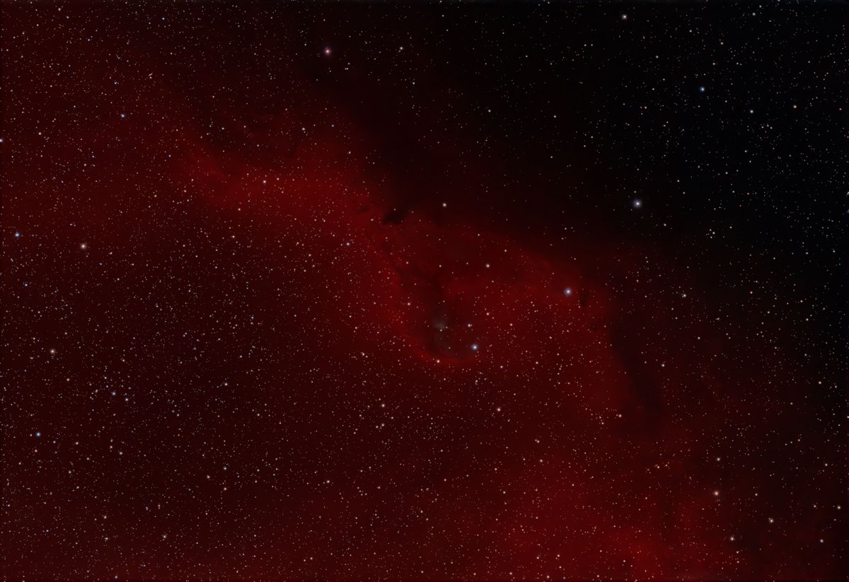 ohzak1's tweet photo. 暗黒星雲: LDN 1580~1584
L-eXtreme F2
300s x 30, gain120
総露光時間2時間30分
暗黒星雲を撮ったというよりもLDN 1584付近の散光星雲を撮ったという方が正しい
LDN 1584のすぐ右下にはCederblad 51という青い反射星雲があるが,ナローバンドフィルターで撮っているのでほとんど写っていない
#RASA8 https://t.co/eF8haFNZnn