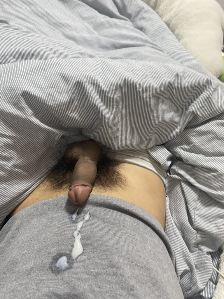 新之助 tweet media