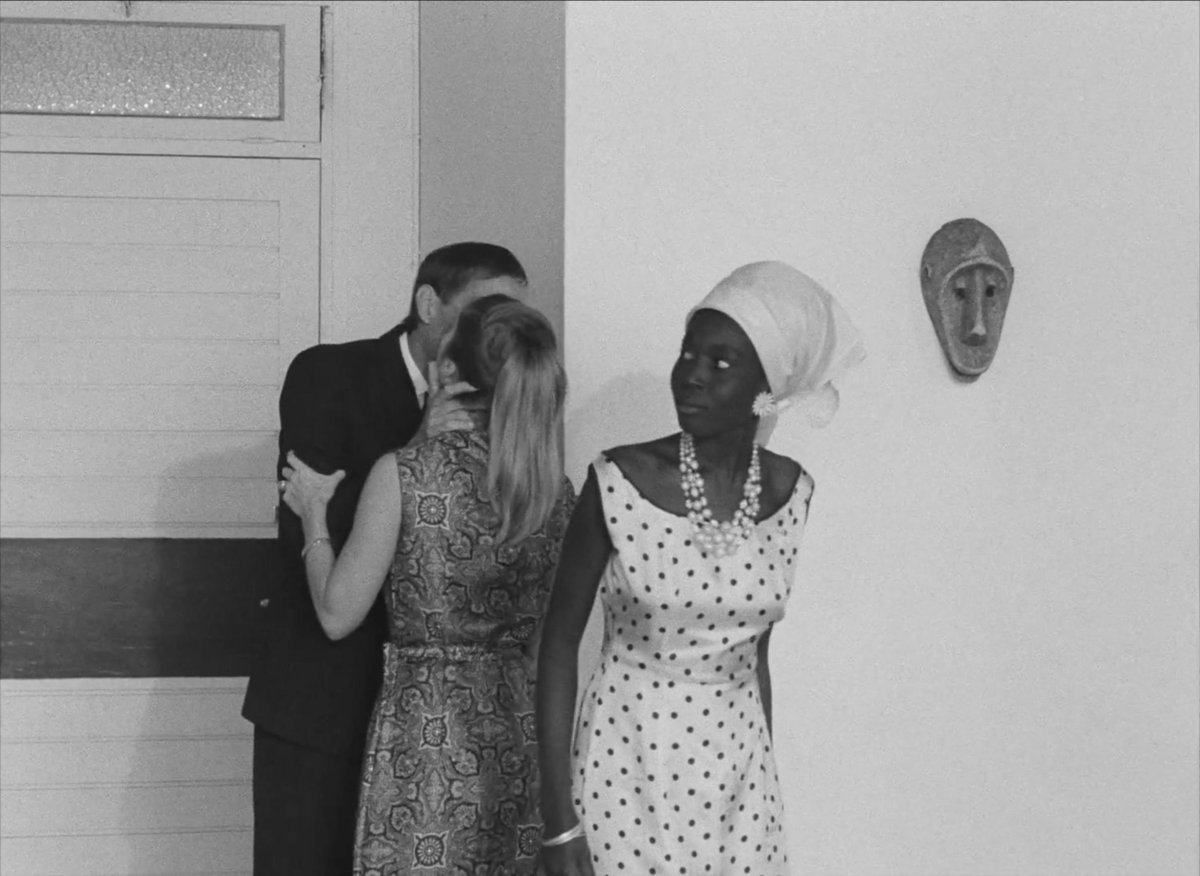 Regelegorila tweet media