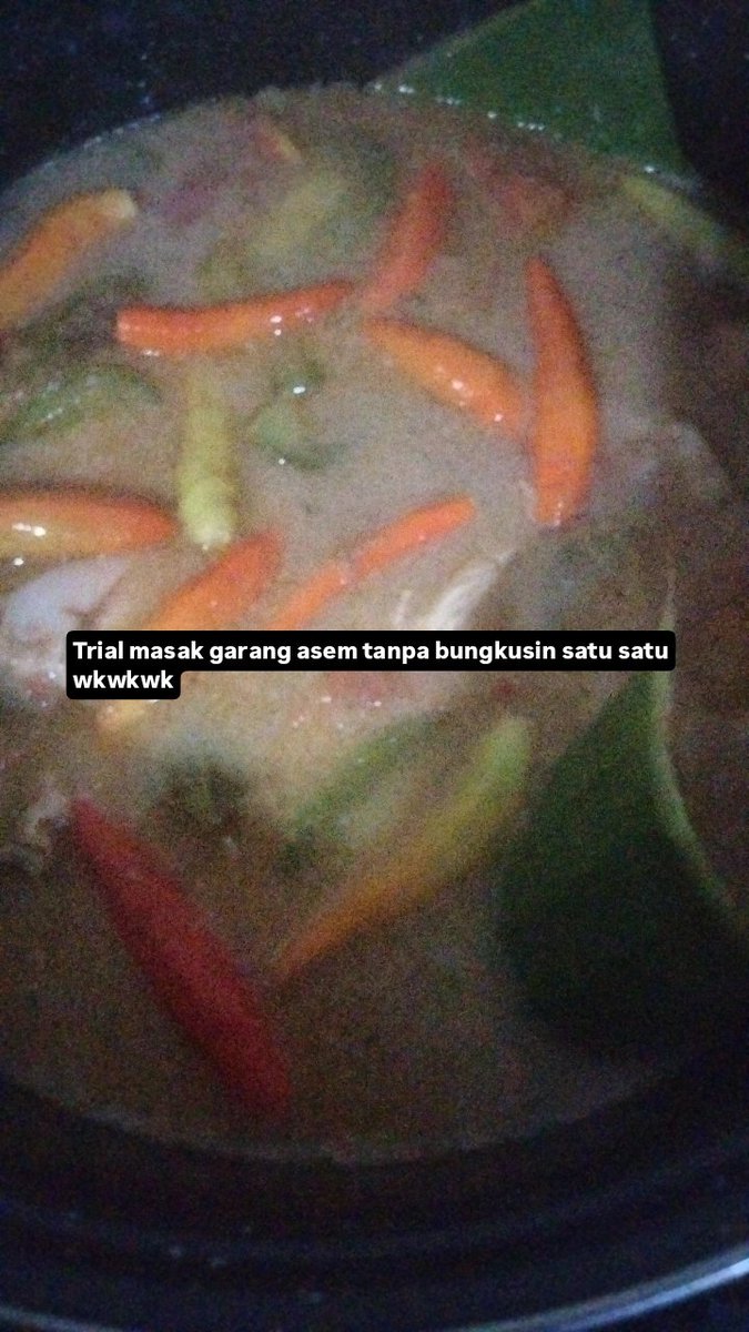 bo nice to tweet media