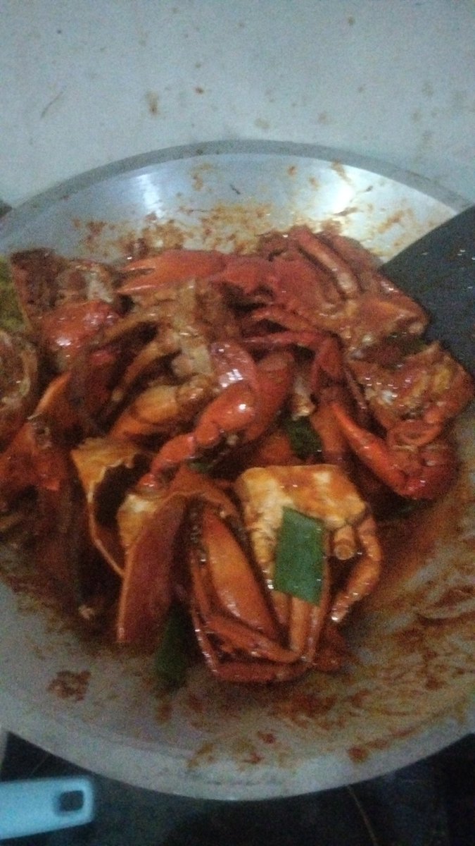 bo nice to tweet media