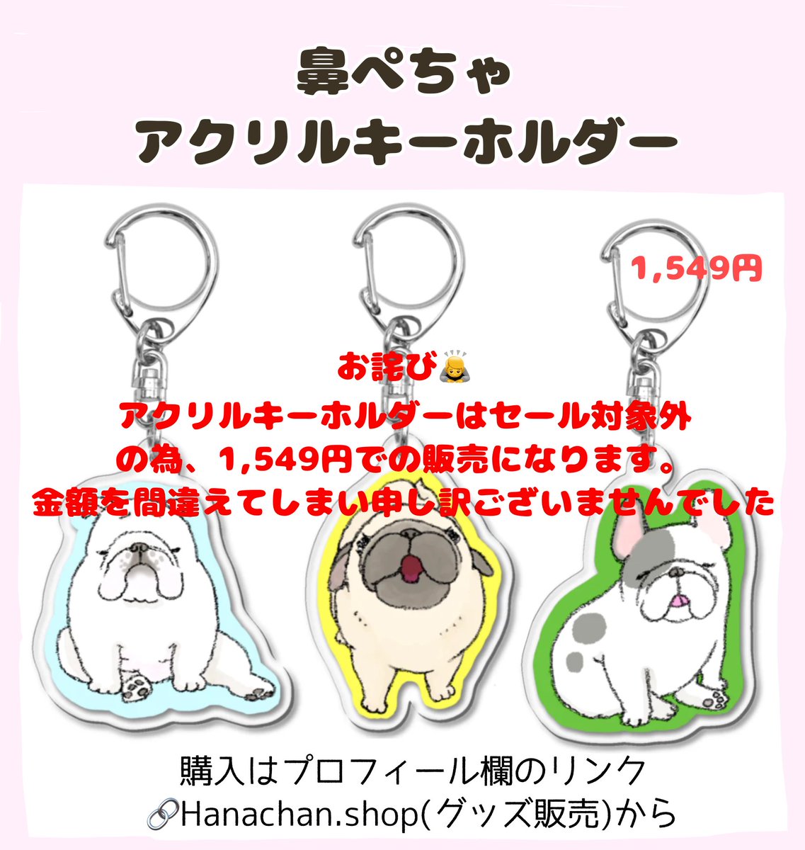 ハナちゃん tweet media