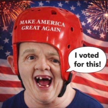 Political Commentary tweet media