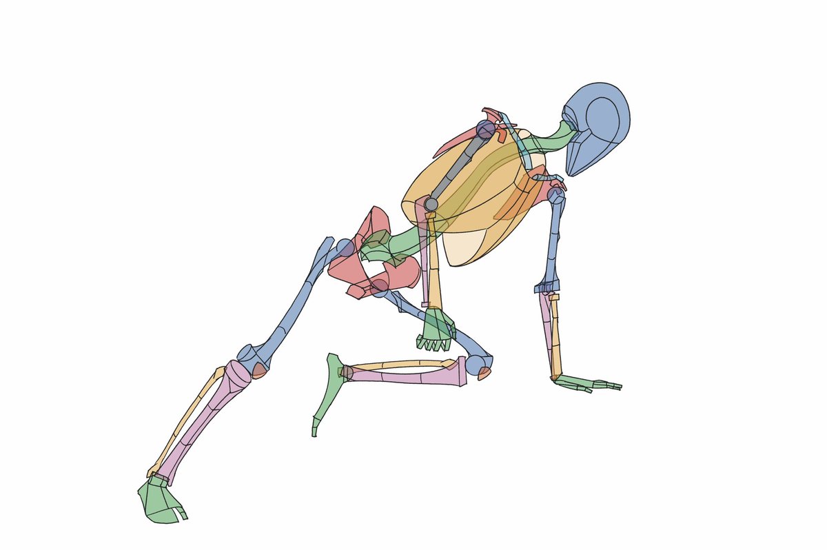 伊豆の美術解剖学者 tweet media