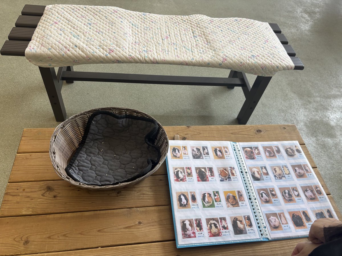 ふれあい(意味深)コーナーの待合で写真集見せられてるんだけど、なんていうかシステムがその…