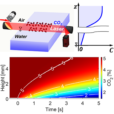 Physical Review Fluids tweet media