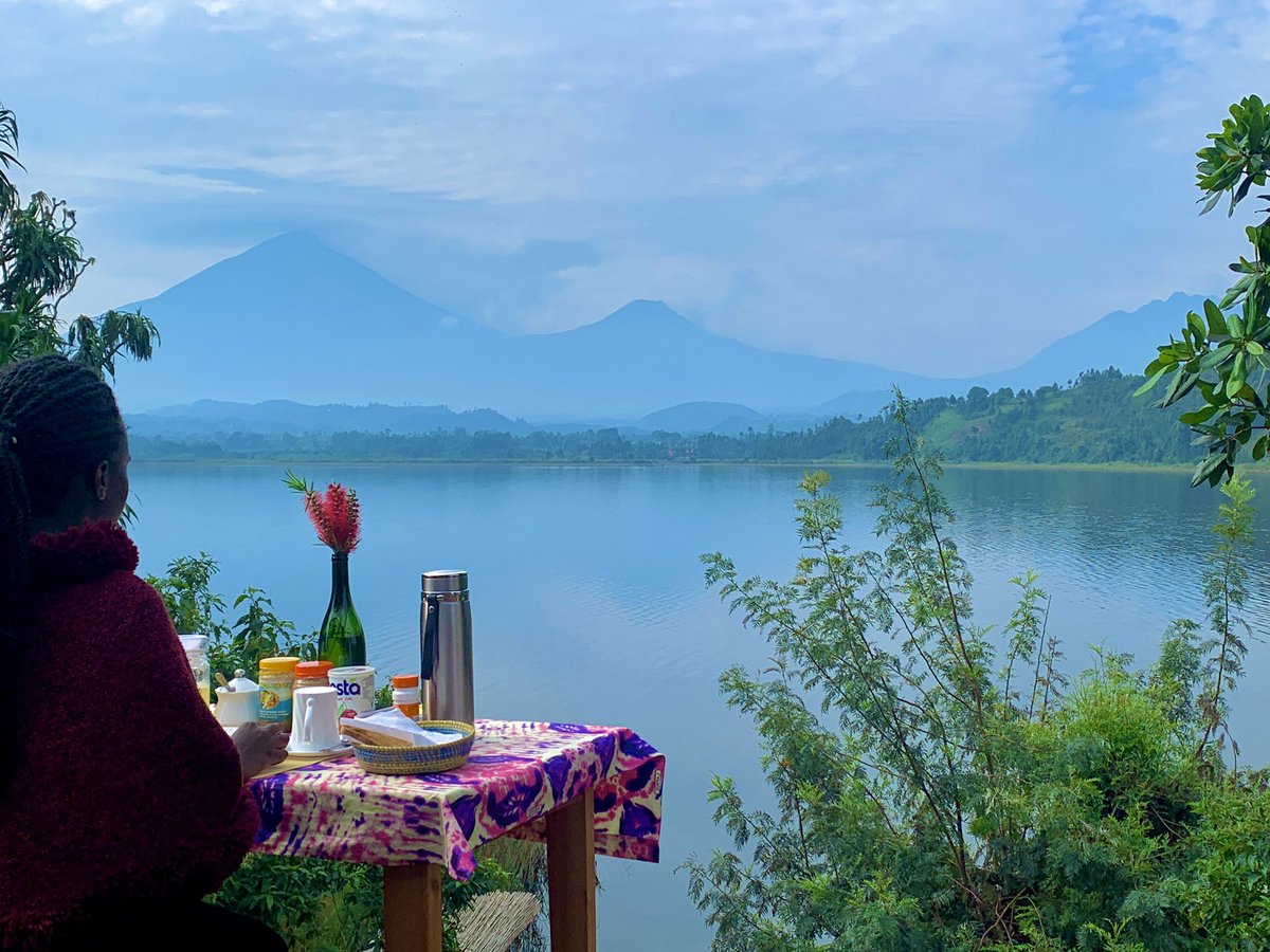 Tess ✈️ tweet media