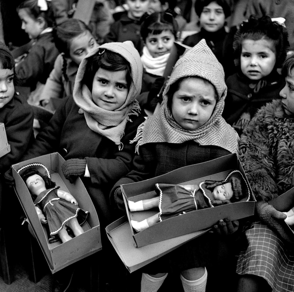 literland tweet media